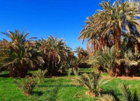 Circuit Maroc désert et oasis en 4x4