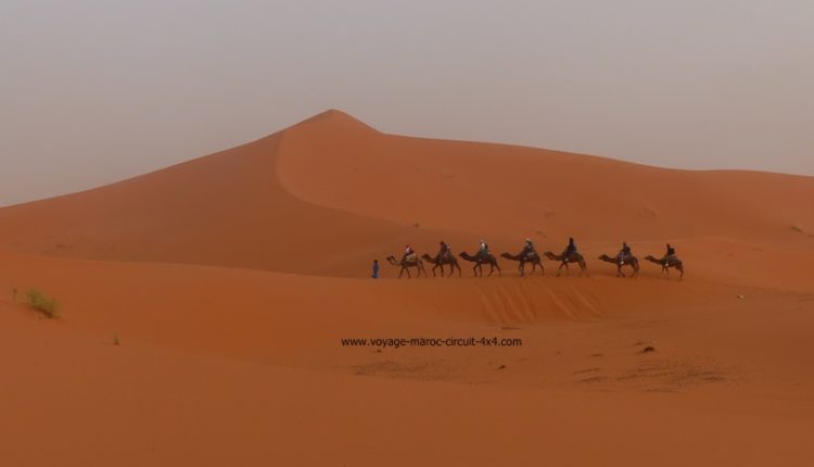 Qui sommes nous Circuit au Maroc